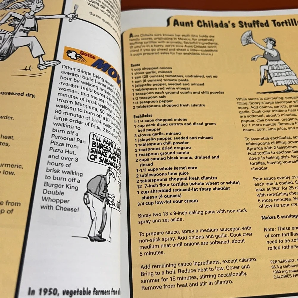 Looneyspoons Low-Fat Food Made Fun Cookbook Janet Greta Podleski Ted Martin
